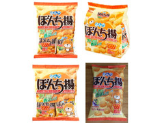 ぼんち ぼんち揚 ひとくちサイズ