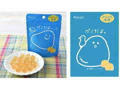 春日井 グミだよ。 乳酸菌ドリンク味