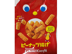 秋田いなふく ピーナッツ揚げ Tohato監修 キャラメルコーン味