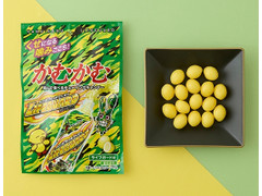 三菱食品 かむかむ ライフガード