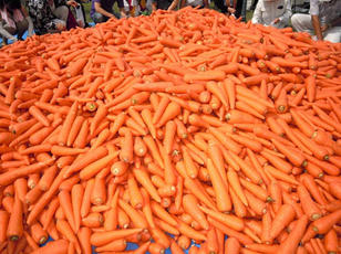 feast_28_s.jpg