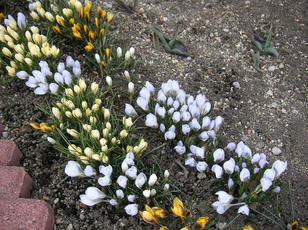 110407_1.jpg