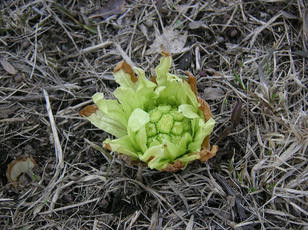 110407_2.jpg