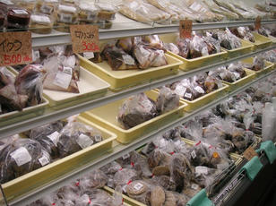 torenosato_04.jpg