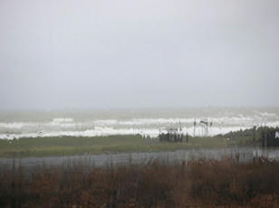 banyanoyu_07.jpg