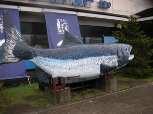 oldriver_02.jpg