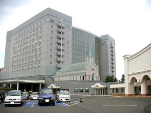 gatokin_01.jpg