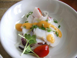gatokin_05.jpg