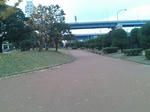 2011122002.jpg