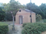 2011122003.jpg