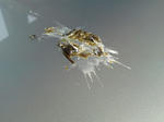 2012072401.jpg