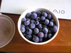 blueberry20100606.jpg