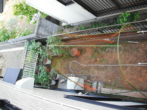 枠に張った鳥避けネット