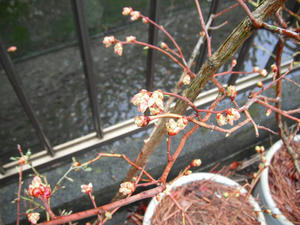 オニール2012/03/10