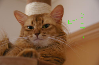 fimg_1217358769.png