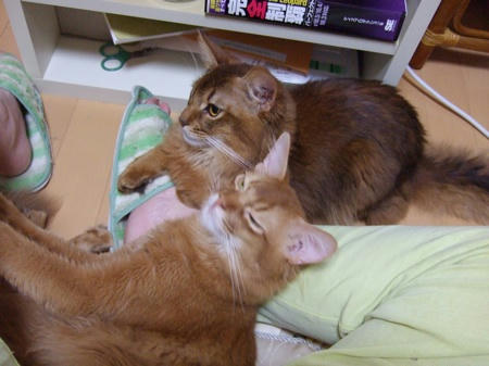 DSCF12466.jpg