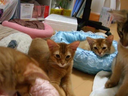 DSCF12855.jpg