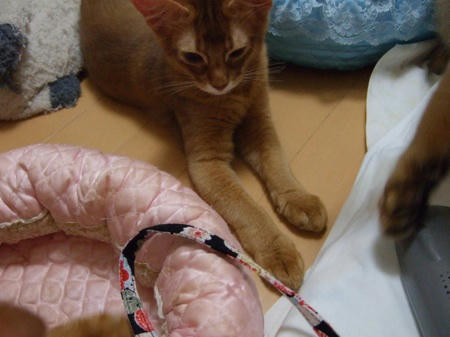 DSCF12844.jpg