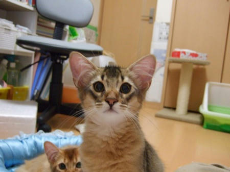 DSCF12833.jpg
