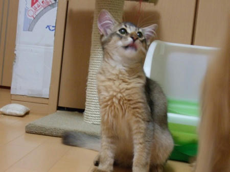 DSCF12633.jpg