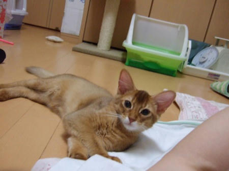 DSCF12733.jpg