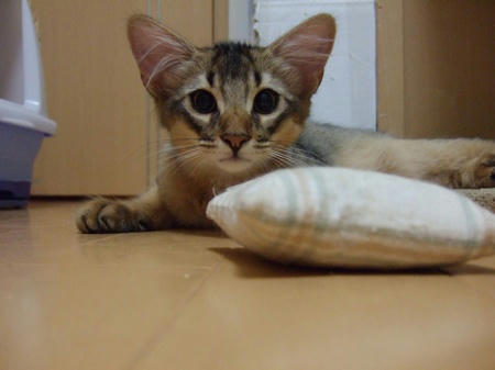 DSCF12777.jpg
