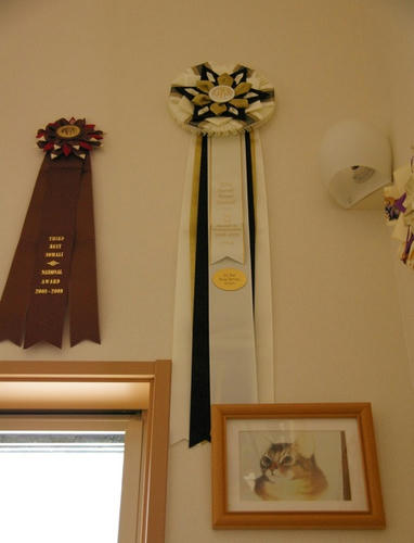 IMGP74555.jpg
