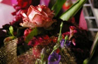 IMGP74599.jpg