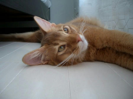 CIMG00933.jpg