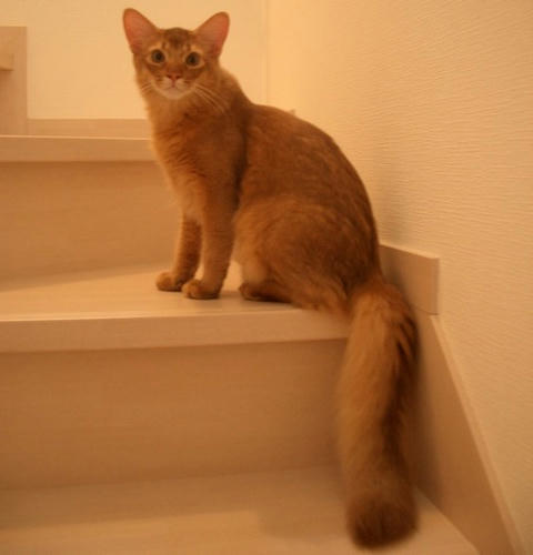 CIMG0111.JPG