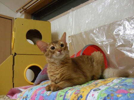DSCF13966.jpg