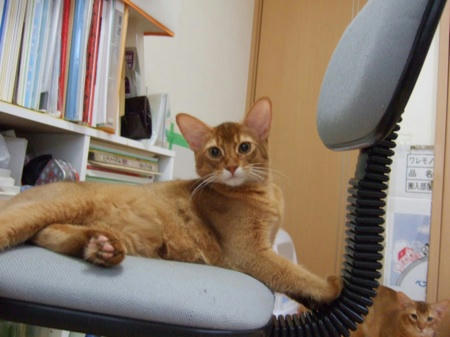 DSCF13599.jpg