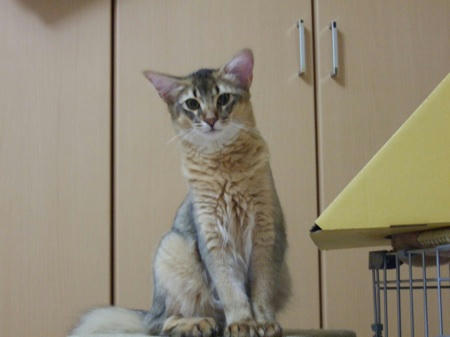 DSCF13888.jpg