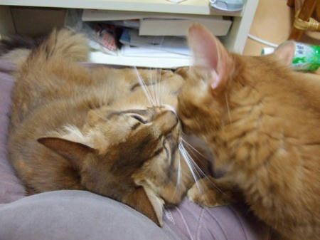 DSCF13100.jpg