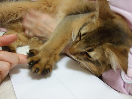 DSCF15622.jpg