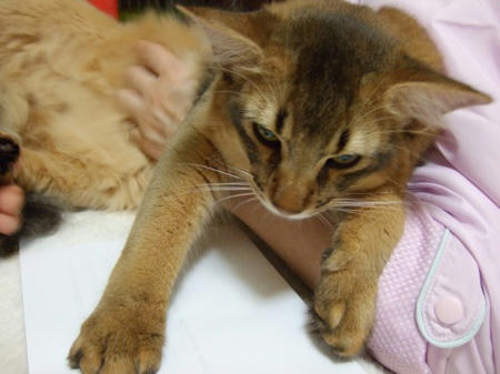 DSCF15644.jpg