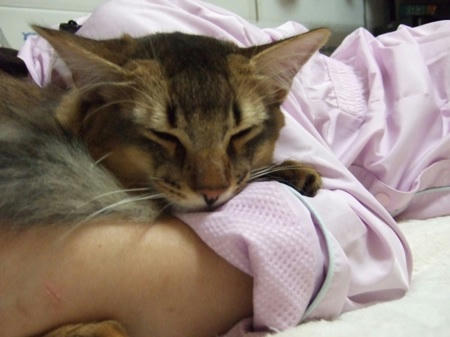 DSCF15755.jpg