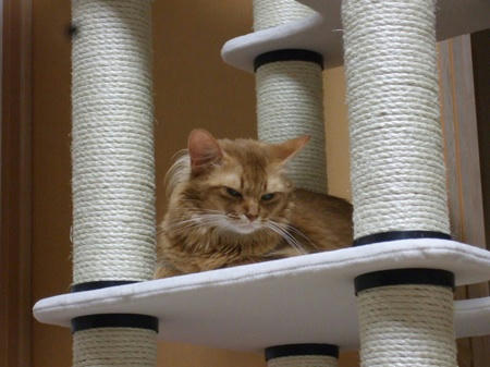 DSCF15099.jpg