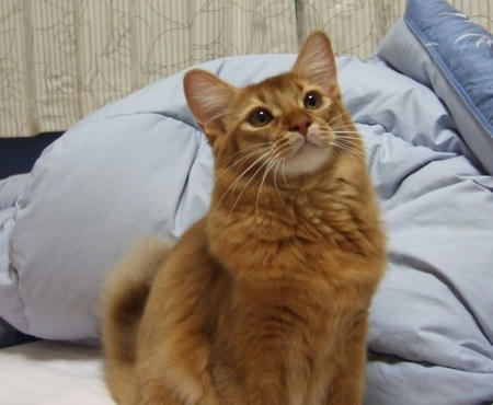 DSCF16888.jpg