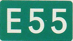 E55