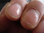 DSC04906.JPG