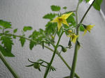 IMG_0564.JPG
