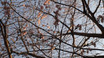P1020190.JPG
