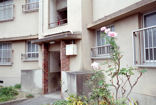 kitamid2.jpg