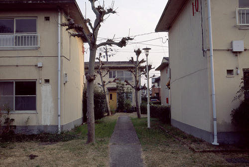 momoyama.jpg