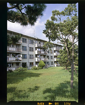 nigawa645.jpg