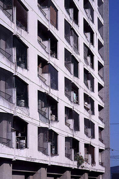 no6.jpg