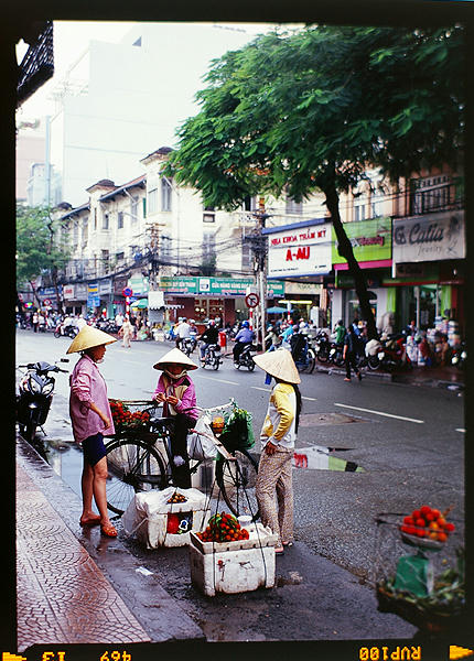 viet02.jpg