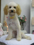 23f1d775.jpg