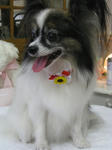 4850f644.jpg